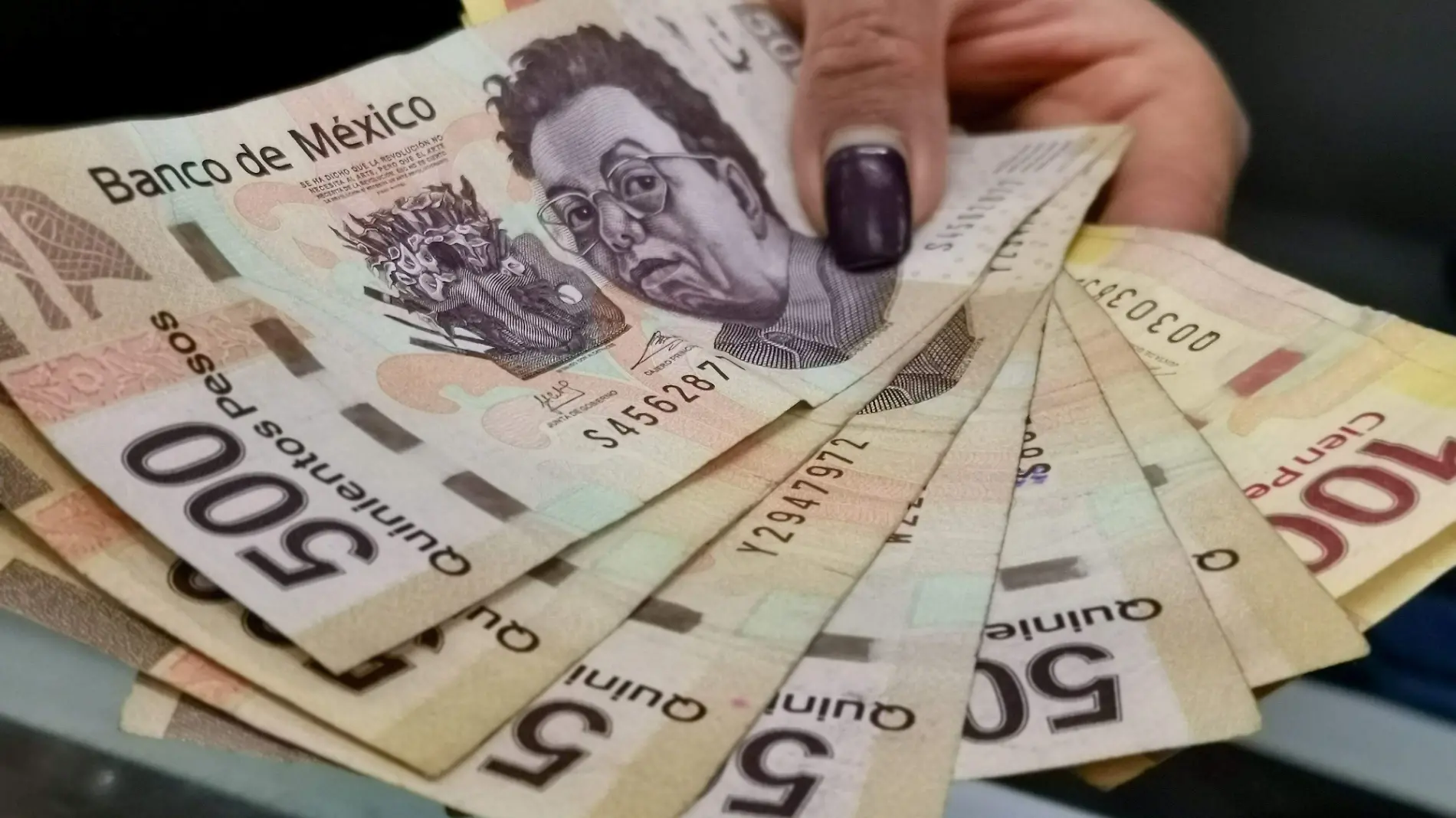 dinero ilustrativa corrupcion CUARTOSCURO